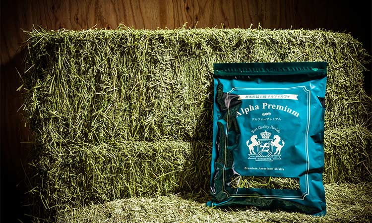 牧草市場 USチモシー3番刈り牧草スーパーソフト 3kg（500g×6パック） （三番刈りソフトチモシー） （うさぎ・モルモットなどの牧草） 