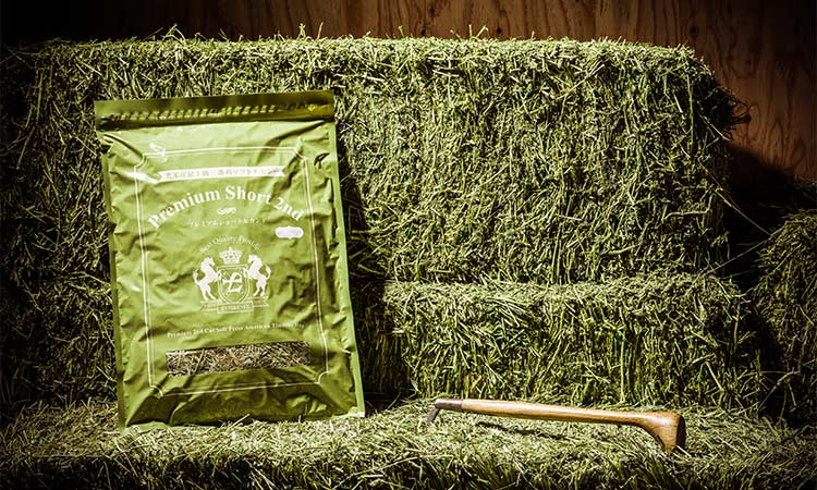 プレミアムショートセカンド